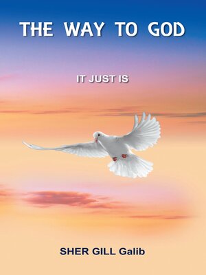 cover image of The Way to God